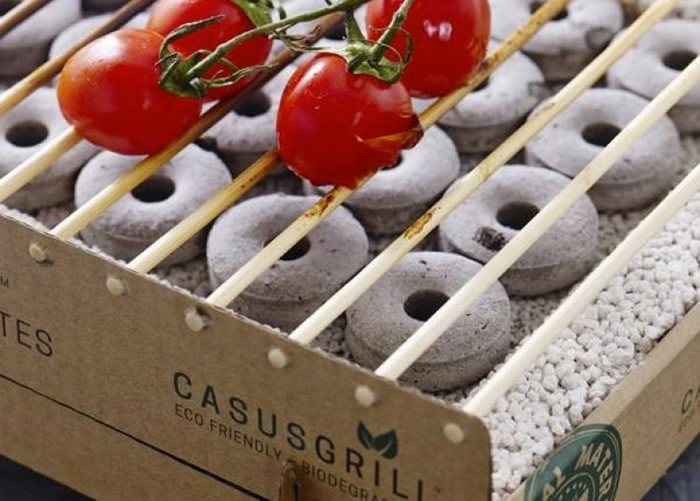 CasusGrill����ȫ��Ȼ�ֽ⡣