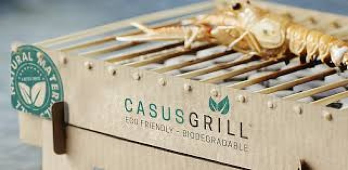 �տ���ʹ��Quick Oxilite��̿��