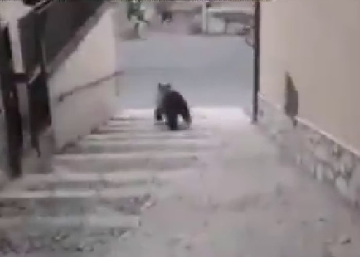 ���ܴ�¥�������֣��������ڼ�״����������ߡ�