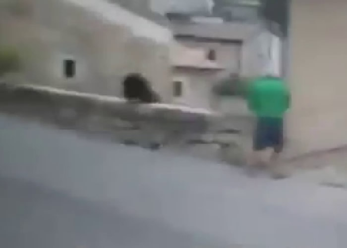 ���ܿ�Խʯǽ����ȥ���١�