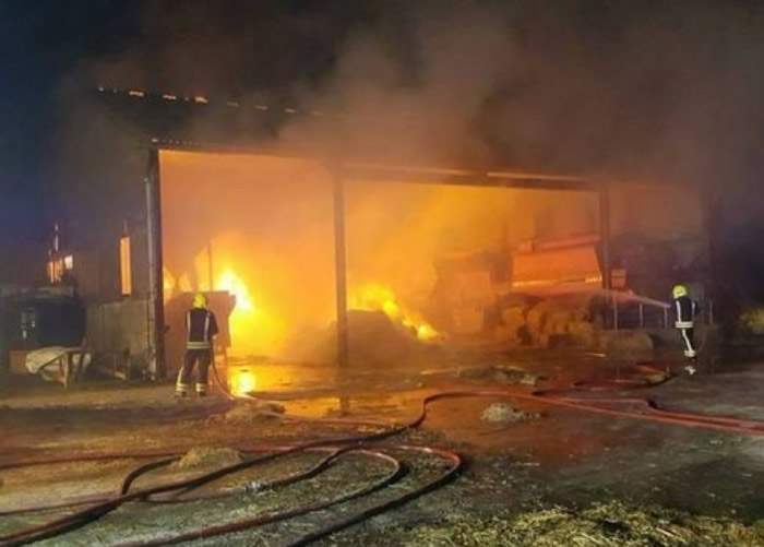 ����Ա��ǰ���¾Ȼ�