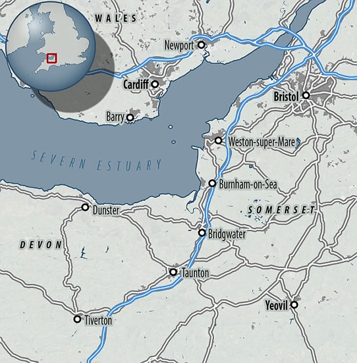 德国汉诺威博物馆中“重新发现”一种远古海洋爬行动物化石 有点像尼斯湖水怪