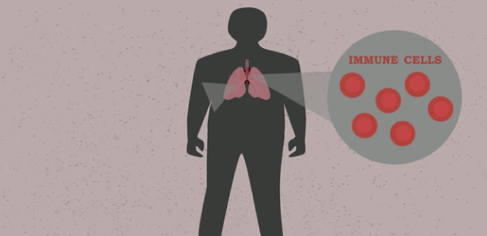 将抗生素头孢他啶与酶抑制剂阿维巴坦配伍或是治疗耐药性结核病的有效方法