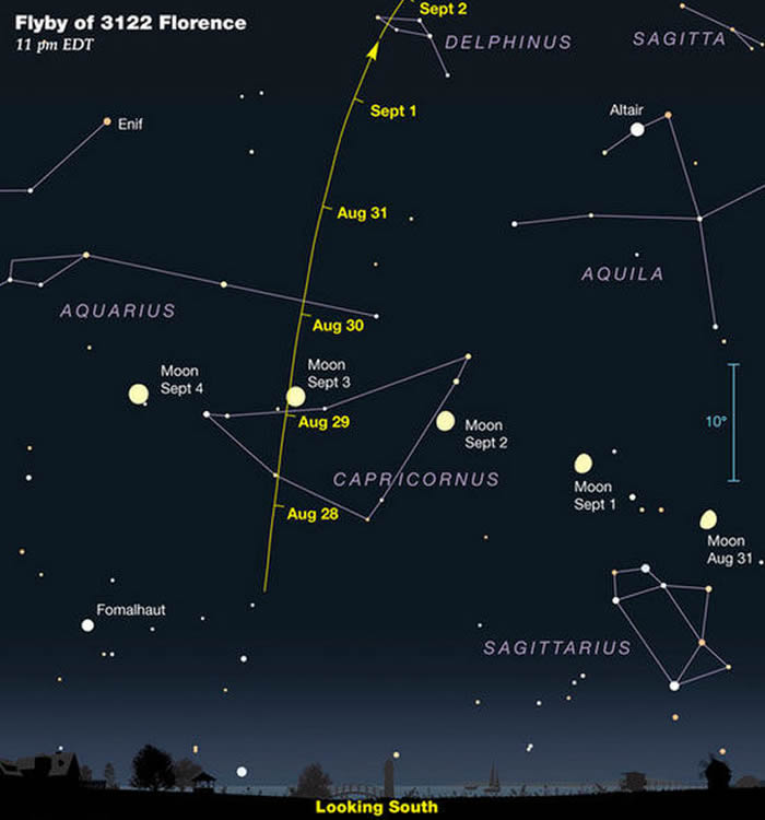 ������������С���Ƿ�����˹��Florence�������ӹ�����