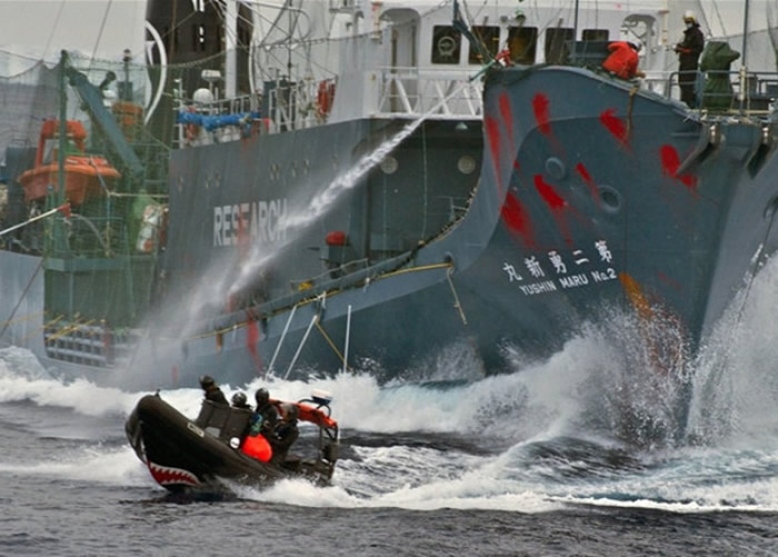 ��������Э���Ա����Ƥͧ�ӽ��ձ���������