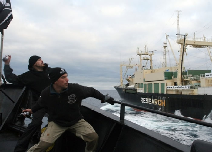 ��������Э���Ա�򲶾����Ӷ�����