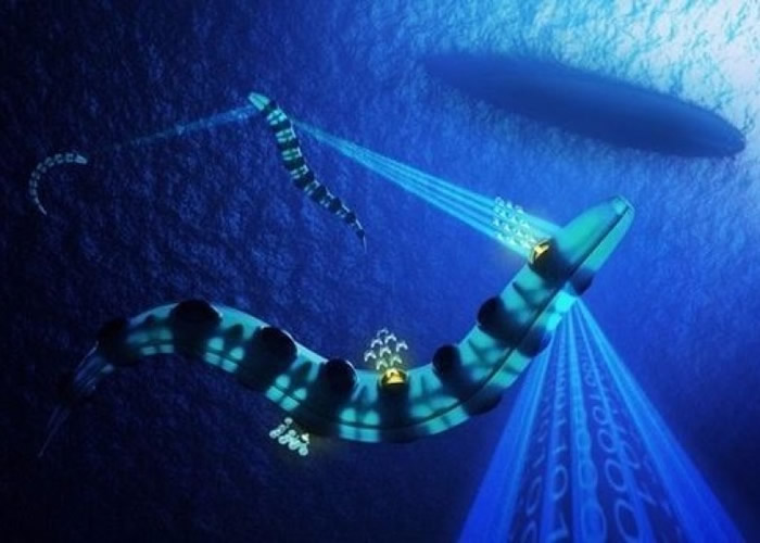 另一款潜艇以海鳗为设计蓝本。