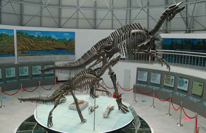 嘉荫恐龙山国家地质公园内的恐龙化石