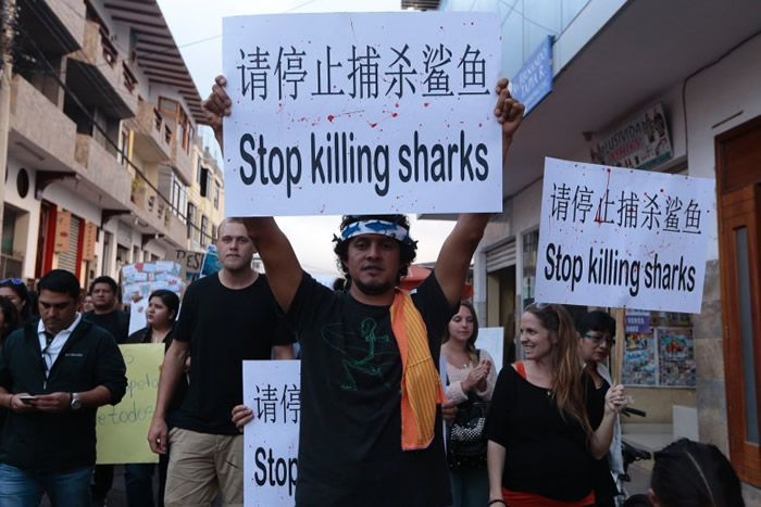 ʾ�����ڸ߾١���ֹͣ��ɱ���㡱�Ⱥ�