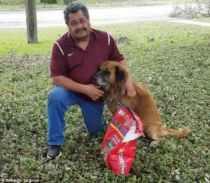 飓风哈维登陆美国德州:好心司机收留鹰 狗叼着粮袋避难