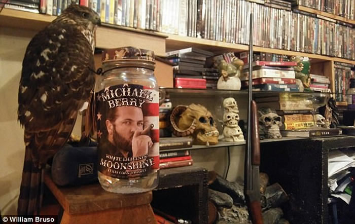 飓风哈维登陆美国德州:好心司机收留鹰 狗叼着粮袋避难