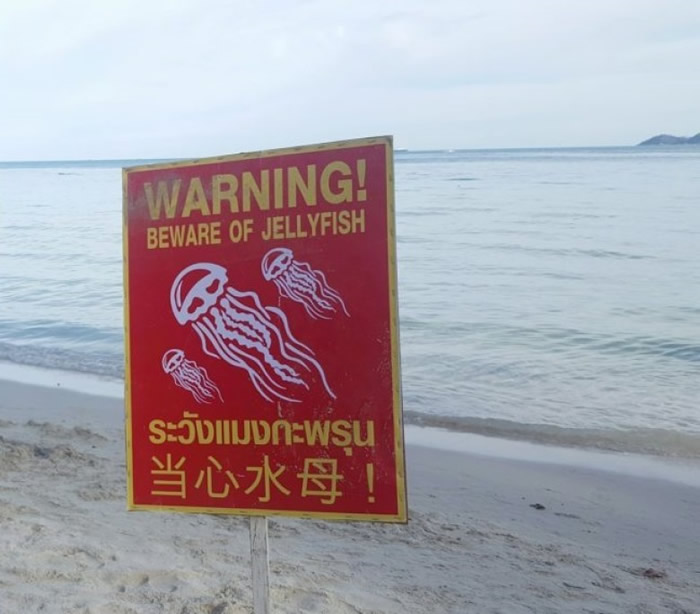 业界认为只依靠竖立警示牌,未能有效防止惨剧。