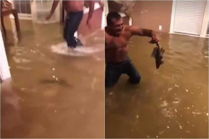 ���������ܵ�쫷��ά��Ϯ ��˹�����Ӽ���׽����