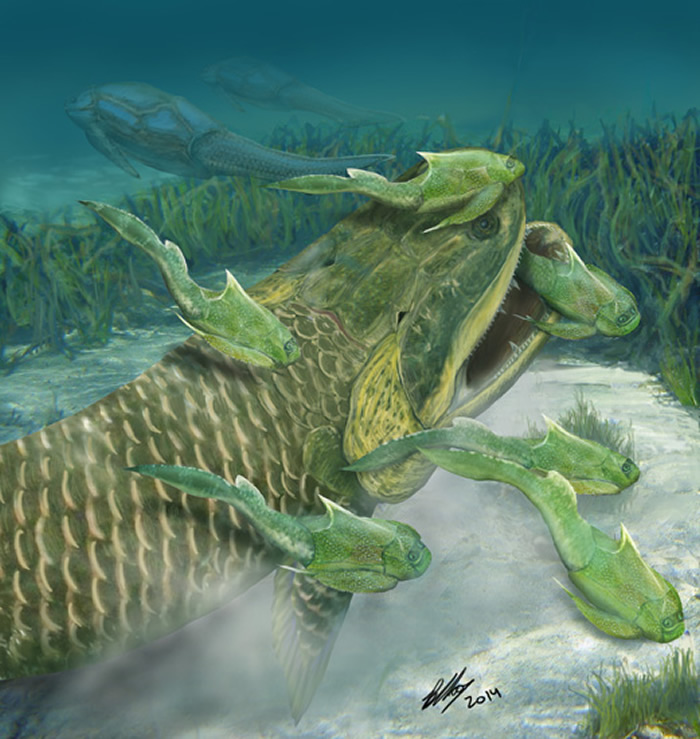 鸿鱼生态复原图,在泥盆纪古湖泊中与宁夏鱼和桨麟鱼相伴(Brian Choo绘)