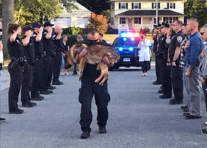 达雷斯塔(抱狗者)把头深埋在“猎人”的毛发内,神情激动。