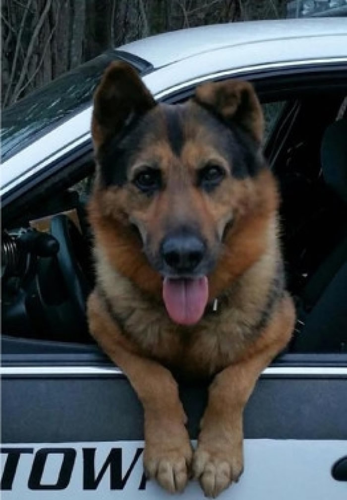 相信“猎人”会长留警队心中。