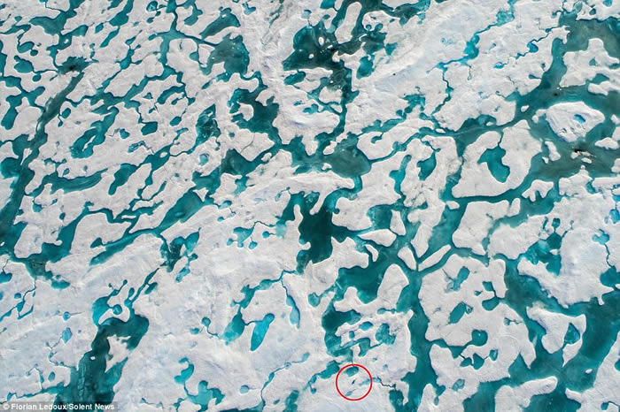 Ļұ裺ӰʦFlorian Ledouxڼôĵǰ