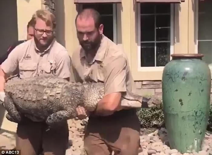 �籩��ά��Ϯ�������ݣ����ӳ�ˮ�˻ؼҾ��������ɷ���