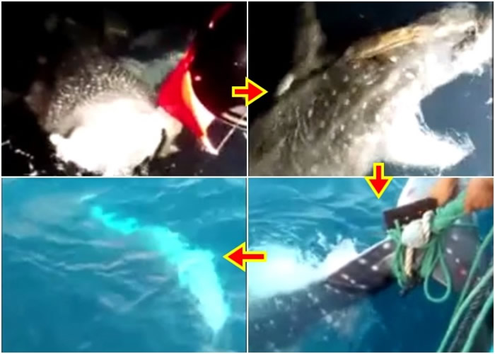 һֻ���׾��贳�������������������������������