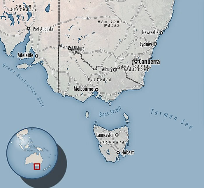 澳洲科学家新证据指远古须鲸或拥有与狮子类近的锋利牙齿 或改写鲸鱼进化历史