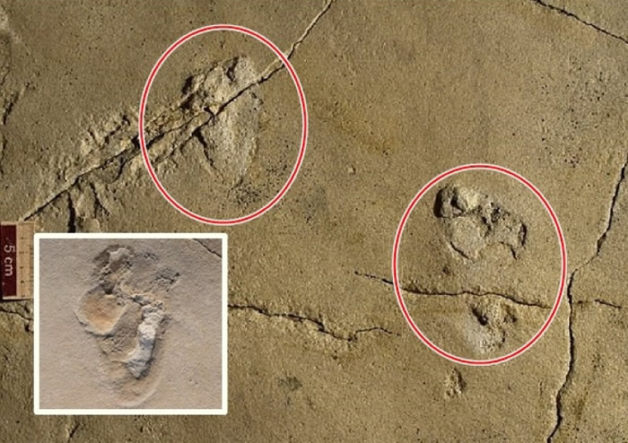 ϣ�������ص���������570����ǰ�������㼣��ʯ ��߸��������ʷ