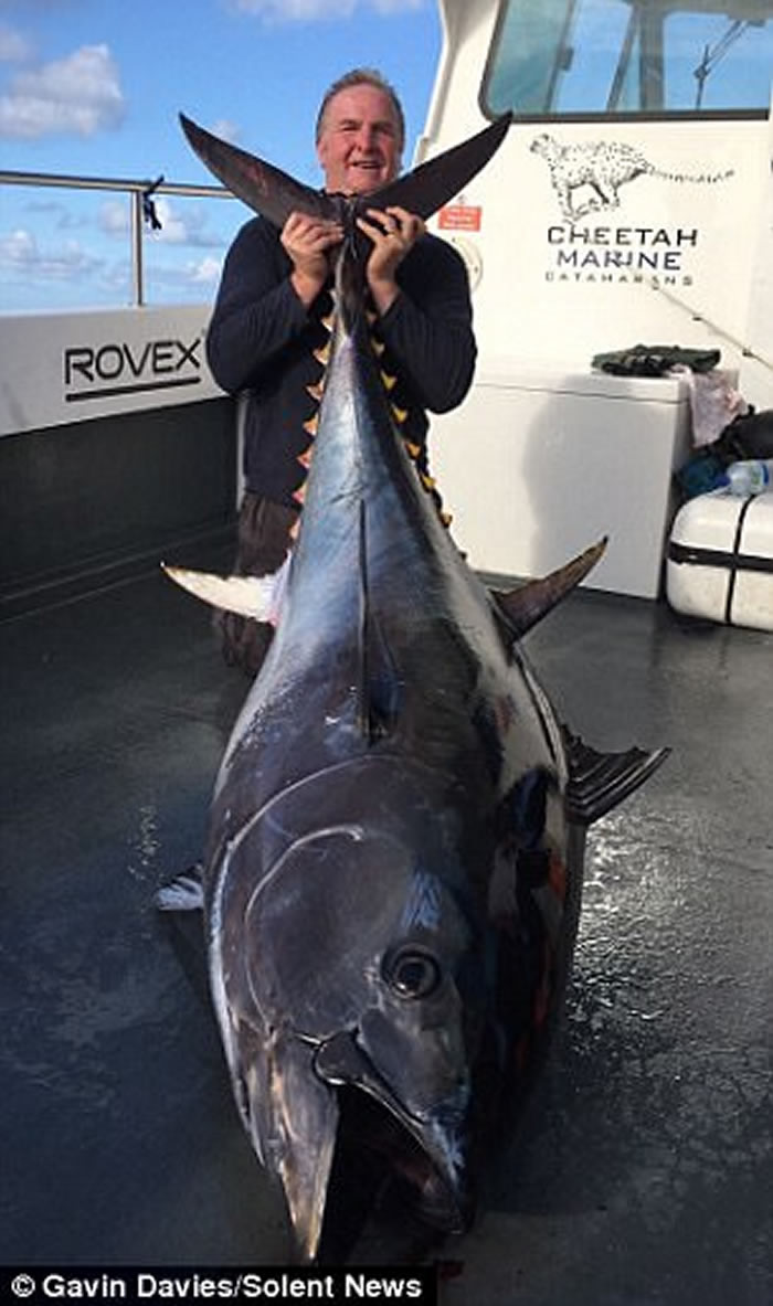 Ӣ������˹����ڰ��������������228��������������