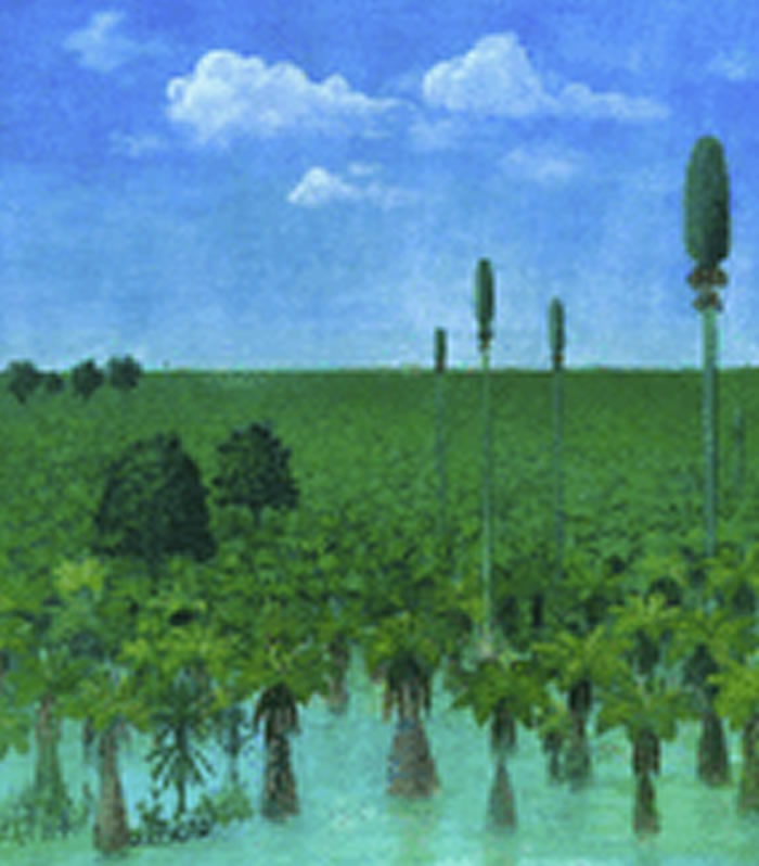 晚古生代芦木类、科达类和松柏类等重要代表性