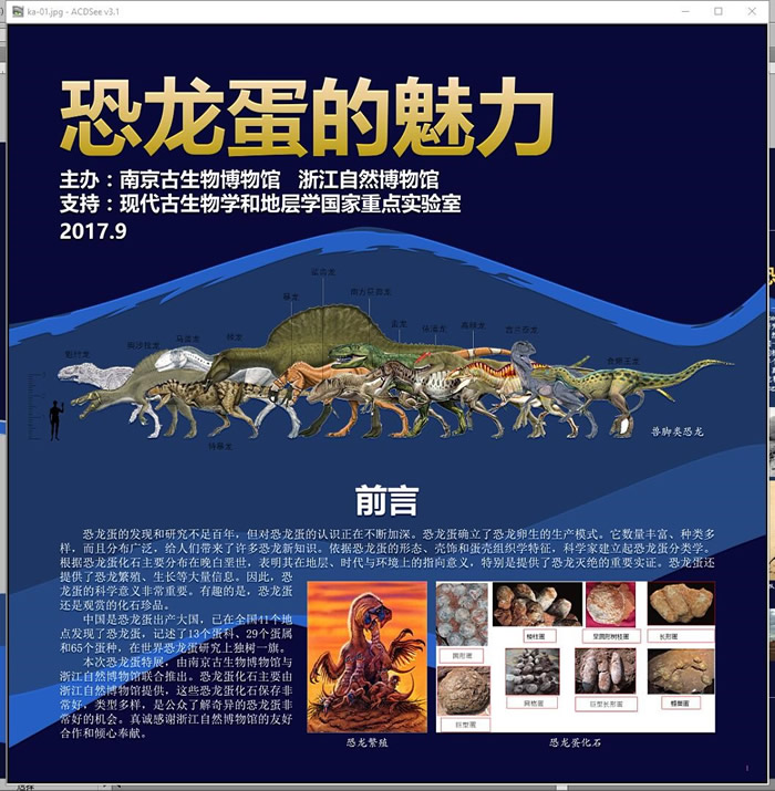 “恐龙蛋的魅力”科普特展在南京古生物博物馆举行