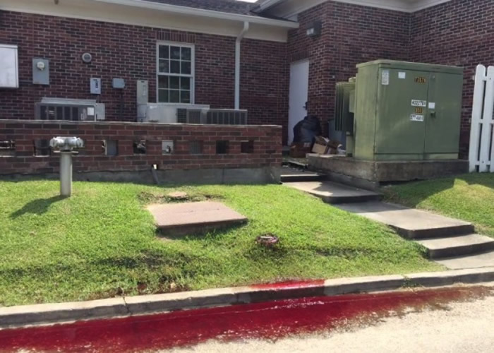 ����һĻ������·��˹���������ǹ�����Ѫˮ����