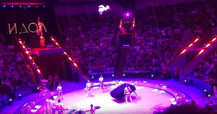 ˹Ī˹ơż-2017Ϸڡؼ˶Աս¼ʧˤϲ