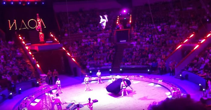 ˹Ī˹ơż-2017Ϸڡؼ˶Աս¼ʧˤϲ