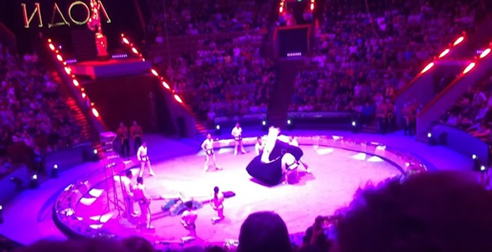 ˹Ī˹ơż-2017Ϸڡؼ˶Աս¼ʧˤϲ