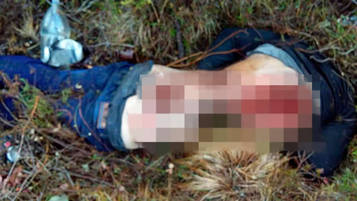 俄罗斯西伯利亚钻油工人在野外遭棕熊袭击 内脏被啃光