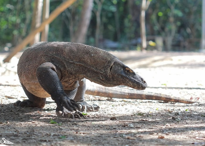 �����Ŀ�Ī����Ҳ��Ϊ������ɱ�Ķ���