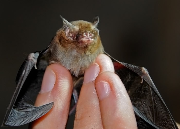 ���ֵ���һ��Ҳ���ù���������Ҳ�����̬Σ����