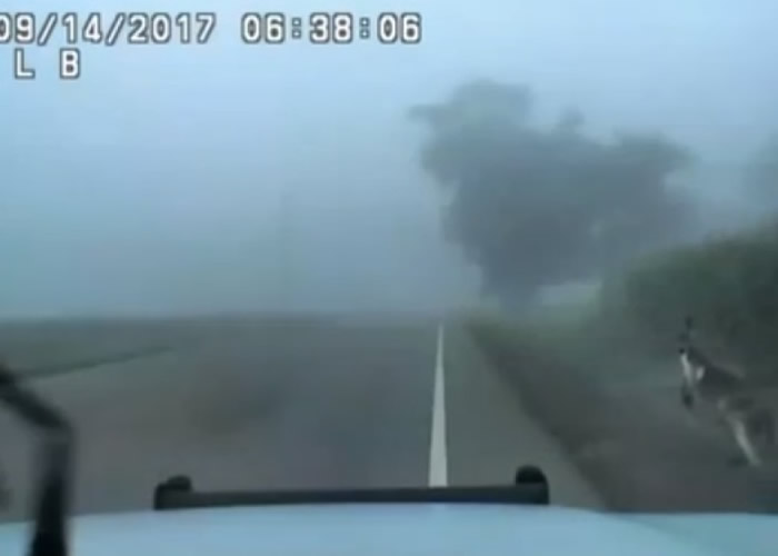 ������Ŀ���ڹ�·�й䡣