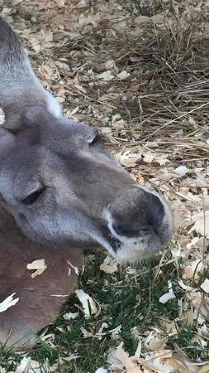 �����ص�ũ����Ϣ��