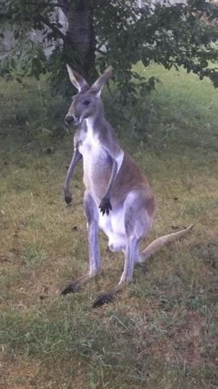 ��������״̬������