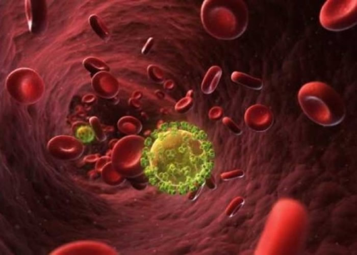 美国国家卫生研究院与法国药厂赛诺菲声称研发出爱滋病病毒(HIV)抗体