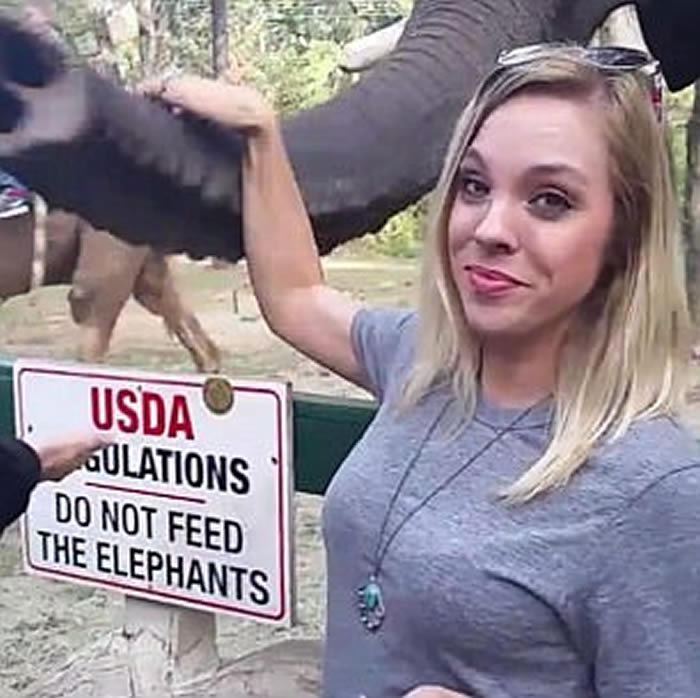 ��������԰����Ը�Ͼ� �ñǻ�������Ů��