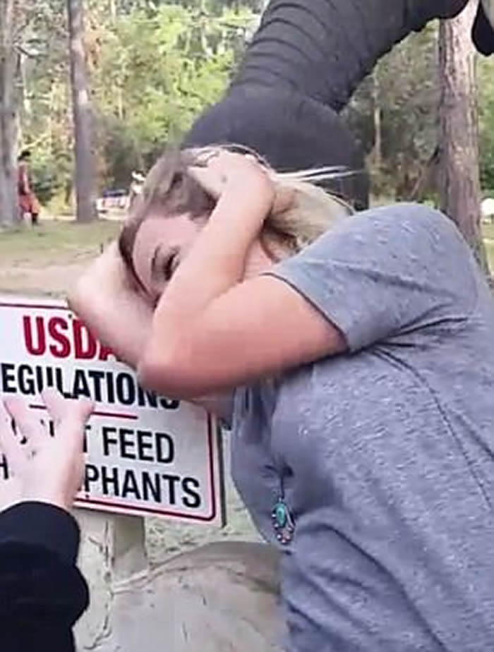 ��������԰����Ը�Ͼ� �ñǻ�������Ů��