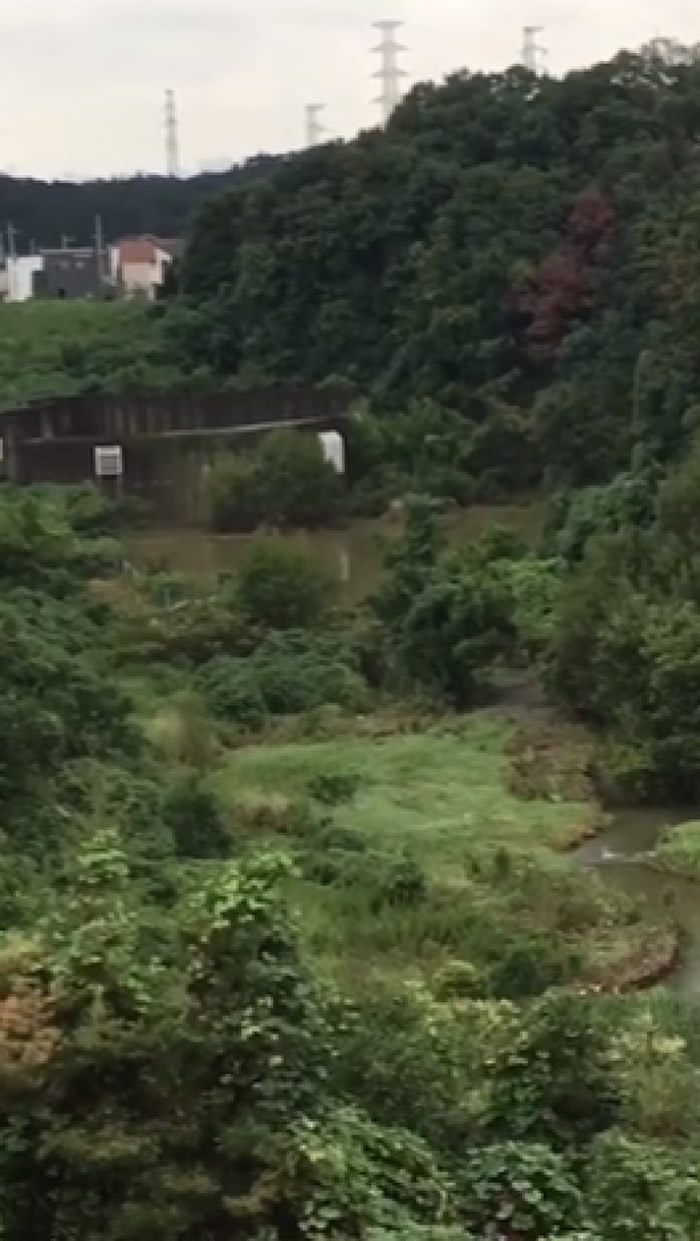 事发地点接近民居。