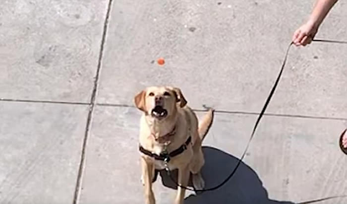 ������������������Ȯ�������ڡ��� �ӹ����˴�2¥��̨���µ�С���ܲ�