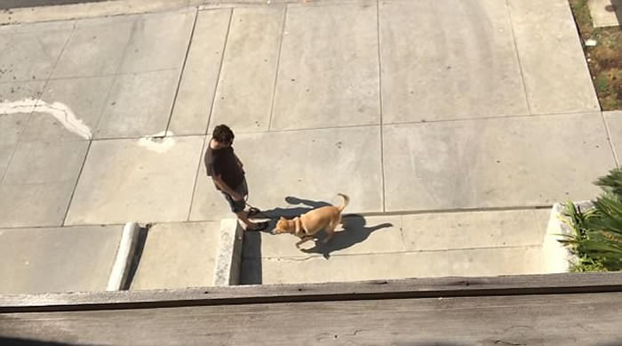 ������������������Ȯ�������ڡ��� �ӹ����˴�2¥��̨���µ�С���ܲ�