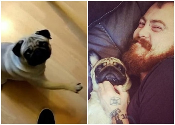 С���������������ɴ⾴������ƣ����氲���س�޷��