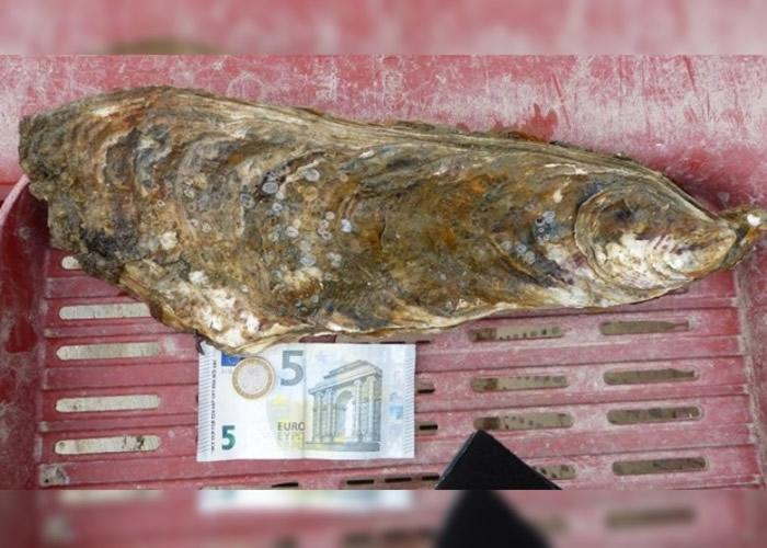 ��������ʡ�������ߵ�������̵�����37.5���׾������