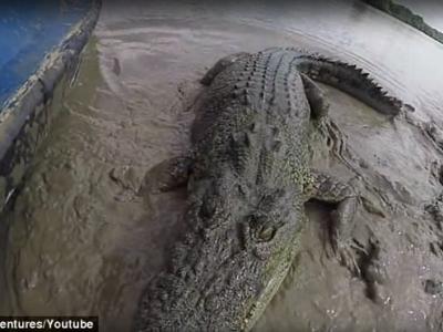 瑞典斯德哥尔摩大学考古团队确认在瑞士比尔卡