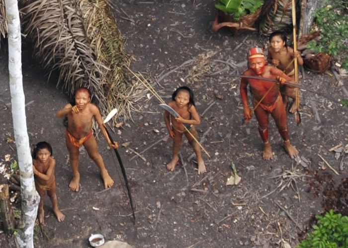 报道指巴西近期发生原住民被集体屠杀事件。