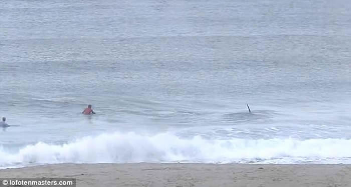 Ų��ŵ���������˱�����ͻȻ������ɱ�˾��ν�������