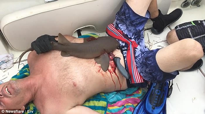 Ǳˮ¸Сҧס ǿиһ